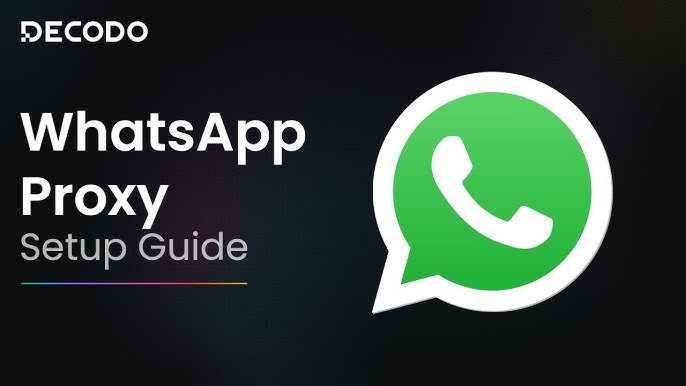 Four Key Behavioral Characteristics of Identifying Real WhatsApp Users